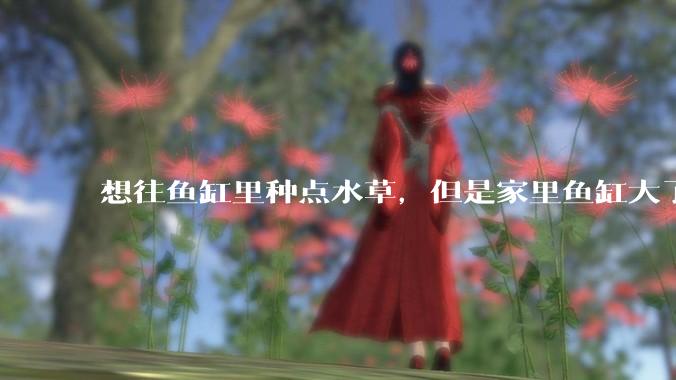 想往鱼缸里种点水草，但是家里鱼缸大了买水草泥或者底砂太贵了，有没有生活中可以替代的物品或其他建议？