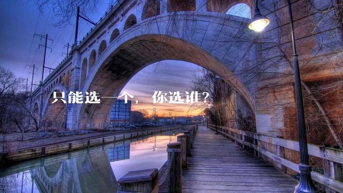只能选一个，你选谁？