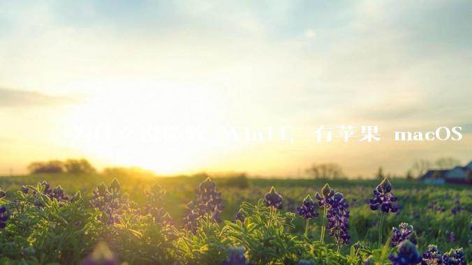 为什么说微软 Win11，有苹果 macOS 的感觉？
