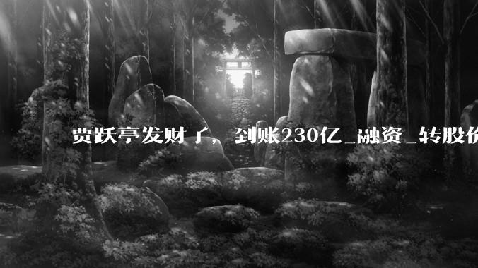 贾跃亭发财了，到账230亿_融资_转股价_所有人