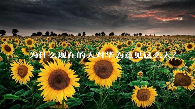 为什么现在的人对华为意见这么大？