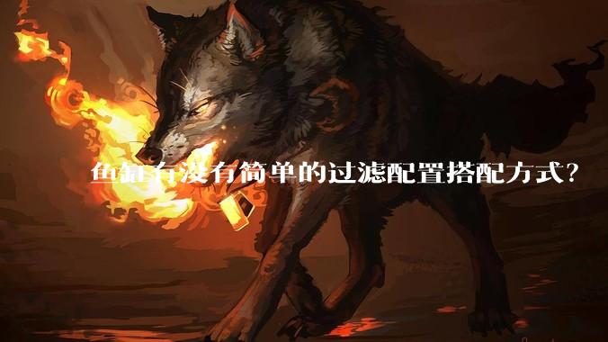 鱼缸有没有简单的过滤配置搭配方式？