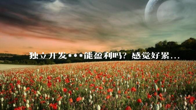 独立开发***能盈利吗？感觉好累...