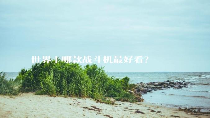 世界上哪款战斗机最好看？