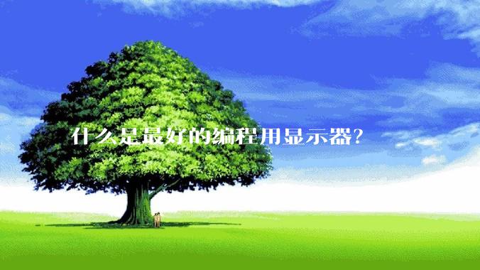 什么是最好的编程用显示器？